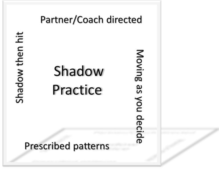types of shadow badminton