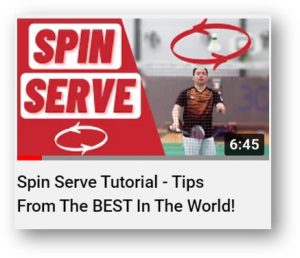 badminton insight best for coaches 1