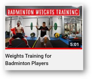 badminton insight best for coaches 3