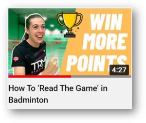 badminton insight best for players 2
