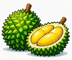 Fruit