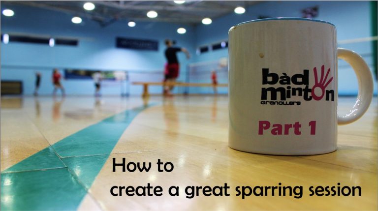 Badminton Singles Sparring