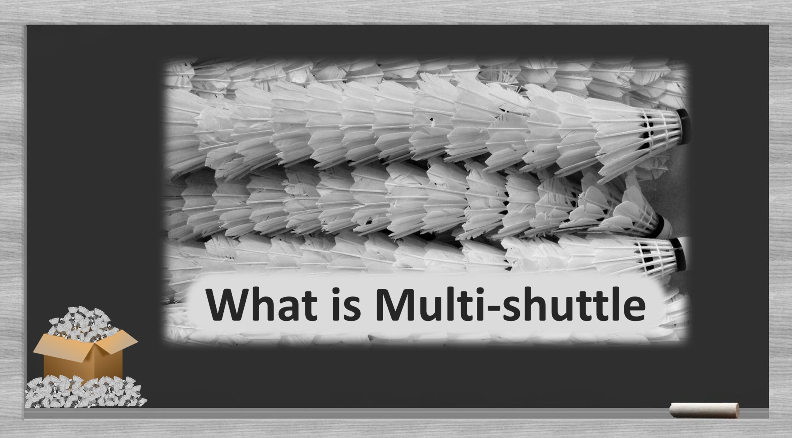 multi-shuttle